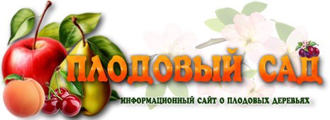Сайт о плодовых деревьях