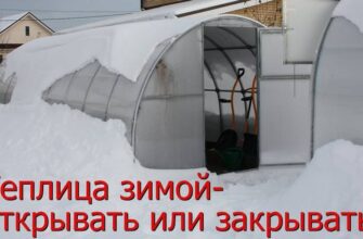 Открывать ли теплицу