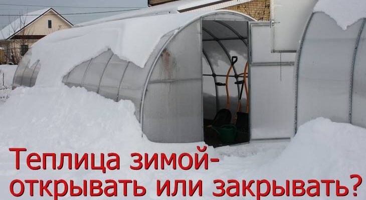 Открывать ли теплицу